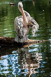 《女神异闻录3：Reload》奖杯列表曝光 简化部分奖杯获取条件